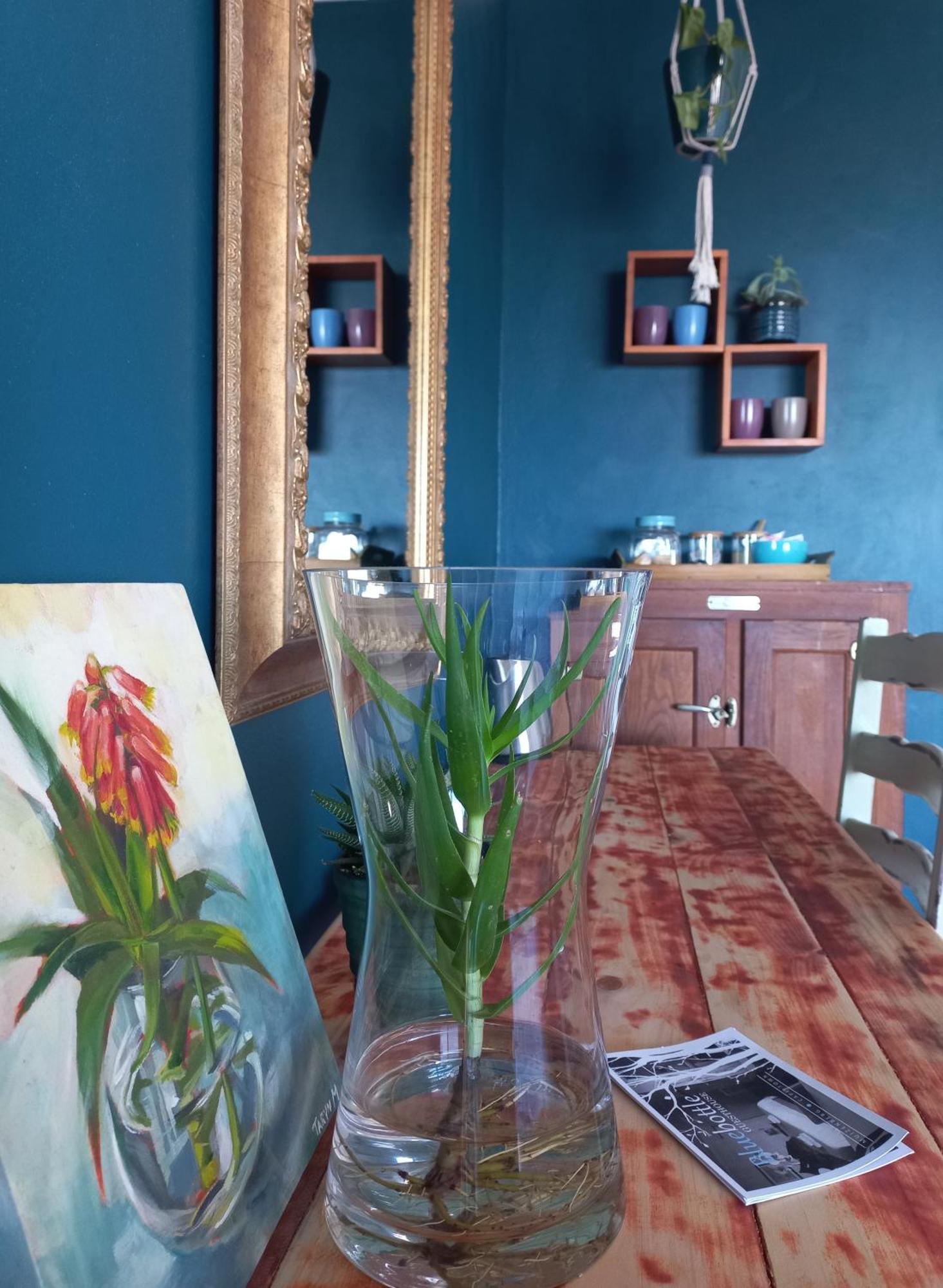 Bluebottle Guest house Muizenberg