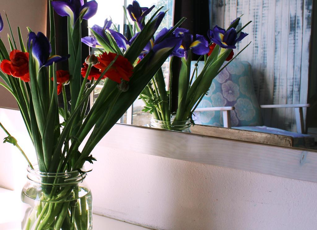 Guest house Bluebottle 3*